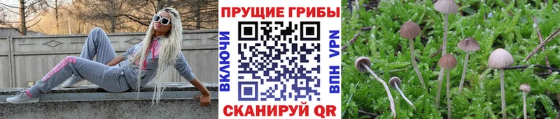 mega как зайти Инсар Галлюциногенные грибы GOLDEN TEACHER