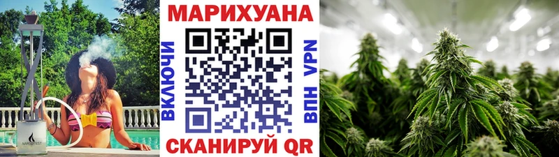 цены   Инсар  Каннабис планчик 